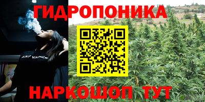 гашик Кунгур