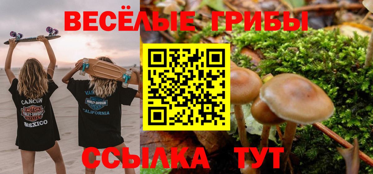 Галлюциногенные грибы мицелий Волгодонск