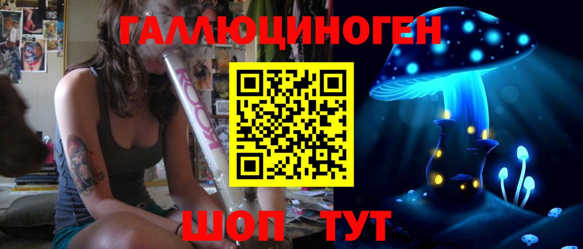 Волгодонск  Псилоцибиновые грибы Psilocybine cubensis  Вход с VPN 